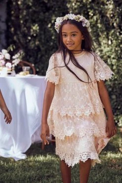 Angel & Rocket Pink Annabelle Mesh Lace Embroidered Dress