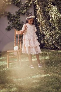 Angel & Rocket Pink Annabelle Mesh Lace Embroidered Dress -Angel & Rocket Shop D89576s3