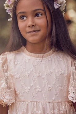 Angel & Rocket Pink Annabelle Mesh Lace Embroidered Dress -Angel & Rocket Shop D89576s5