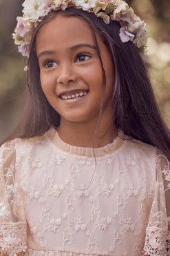 Angel & Rocket Pink Annabelle Mesh Lace Embroidered Dress -Angel & Rocket Shop D89576s6