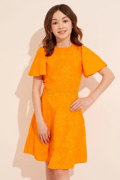 Lipsy Angel Sleeve Lace Occasion Dress