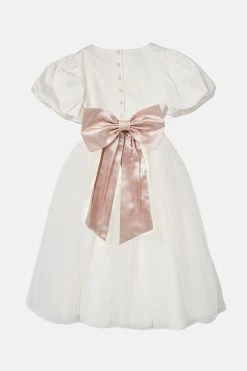 Angel & Rocket Celine Tafetta Tulle Dress -Angel & Rocket Shop T25630s3