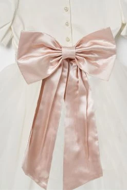 Angel & Rocket Celine Tafetta Tulle Dress -Angel & Rocket Shop T25630s4